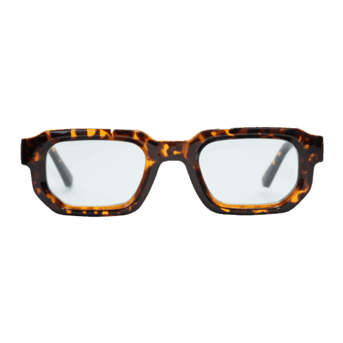 Paul-5786-Frontale